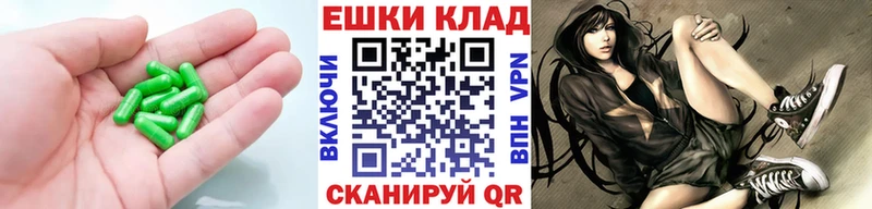 продажа наркотиков Кашин mega рабочий сайт Экстази диски