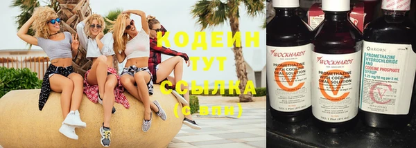 крисы Пестово
