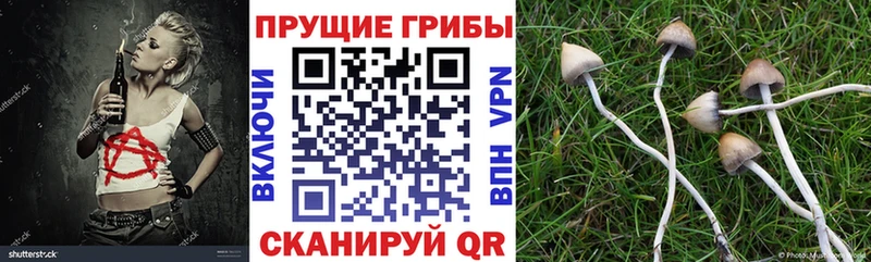 Псилоцибиновые грибы Magic Shrooms Кашин