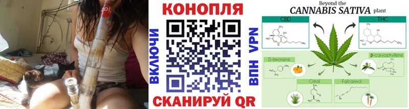 где купить наркотик  Кашин  Канабис MAZAR 